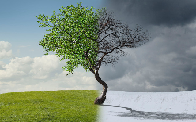 Tree shadow person sky clouds free wallpaper for desktop - medium preview image