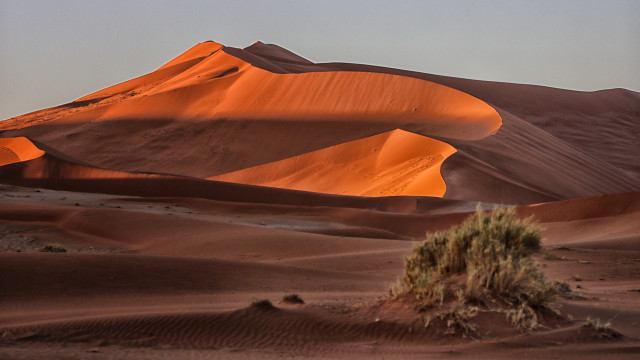 Desert small tree mountain sky free wallpaper for desktop - medium preview image