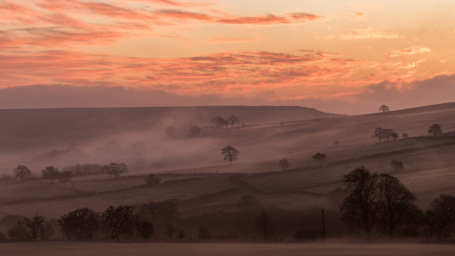 Foggy horizon sunset trees mountains free wallpaper for desktop - medium preview image