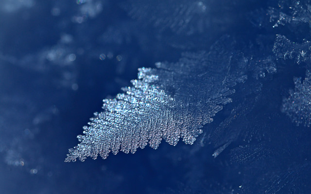 Leaf water droplets snow blue free wallpaper for desktop - medium preview image