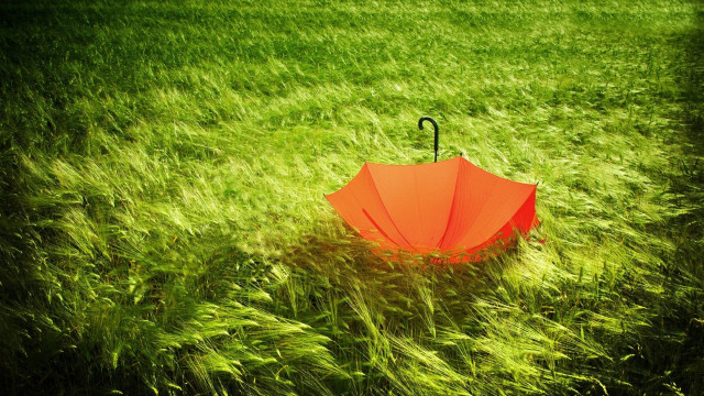 Umbrella grass sun black handle free wallpaper for desktop - medium preview image