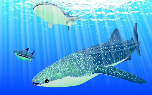 Fish ocean sunny blue water free wallpaper for desktop - medium preview image