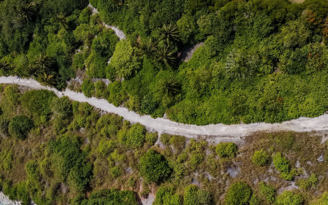 Winding road forest river aerial #2 free wallpaper for desktop - medium preview image
