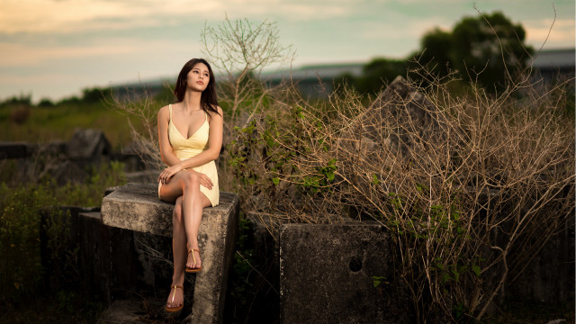 Woman yellow dress sitting bush free wallpaper for desktop - medium preview image