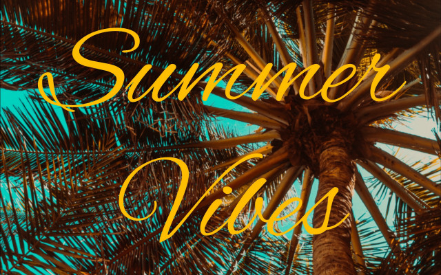 Palm tree summer vibes fireworks free wallpaper for desktop - medium preview image