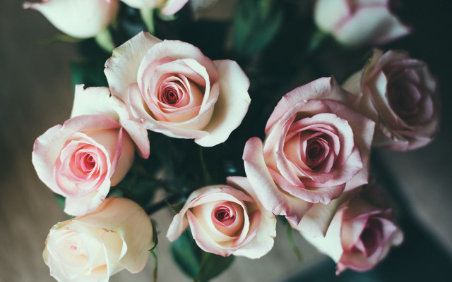 Pink roses vase tabletop blurry free wallpaper for desktop - medium preview image