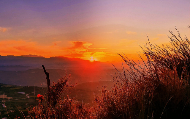 Sunset mountain clouds flowers forest free wallpaper for desktop - medium preview image