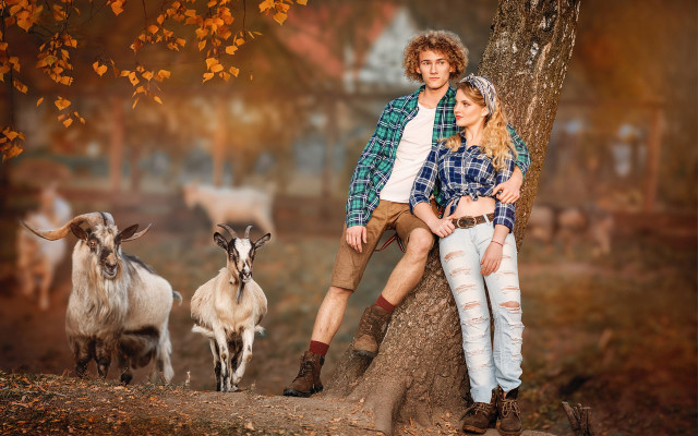 Man woman tree goats autumn free wallpaper for desktop - medium preview image