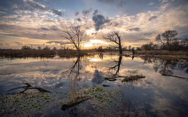 Lake trees clouds dusk reflection free wallpaper for desktop - medium preview image