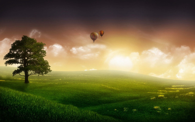 Tree hotairballoon sunset landscape matte free wallpaper for desktop - medium preview image