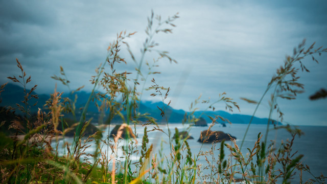 Water mountain grass autumn nature free wallpaper for desktop - medium preview image