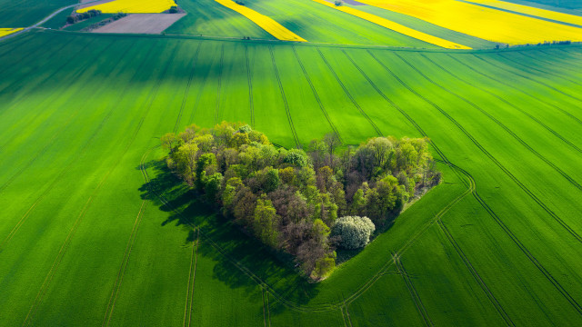 Heart tree greenfield landart puzzle free wallpaper for desktop - medium preview image