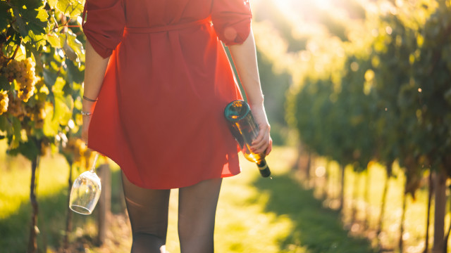 Woman red dress vineyard wine free wallpaper for desktop - medium preview image