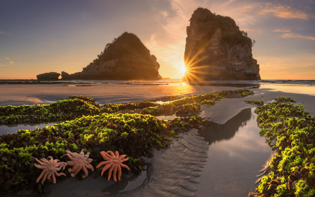 Beach rocks seaweed sunset landscape free wallpaper for desktop - medium preview image