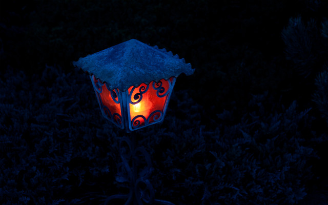 Lantern red light dark forest free wallpaper for desktop - medium preview image