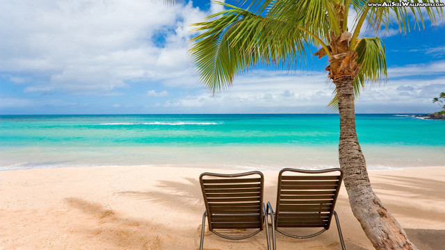 Two chairs beach palm tree #3 free wallpaper for desktop - medium preview image