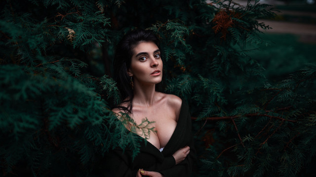 Woman black dress tree portrait free wallpaper for desktop - medium preview image