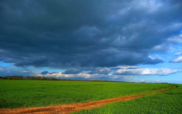 Dirt road green field cloudy #6 free wallpaper for desktop - medium preview image