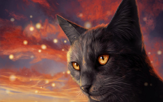 Cat yellow eyes red sky free wallpaper for desktop - medium preview image