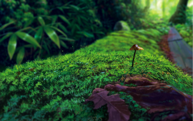 Mossy hill yellow flower path free wallpaper for desktop - medium preview image