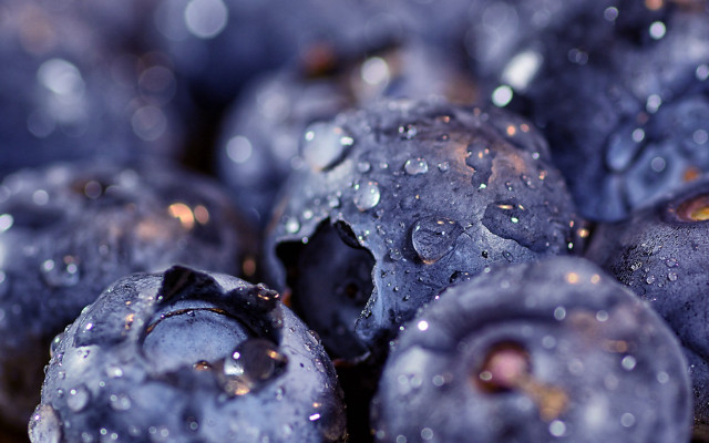 Blueberries water droplets macro bokeh free wallpaper for desktop - medium preview image