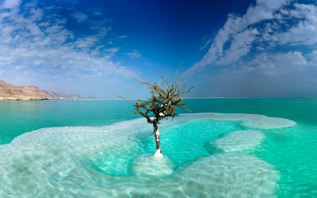 Tree water mountain sky panorama free wallpaper for desktop - medium preview image