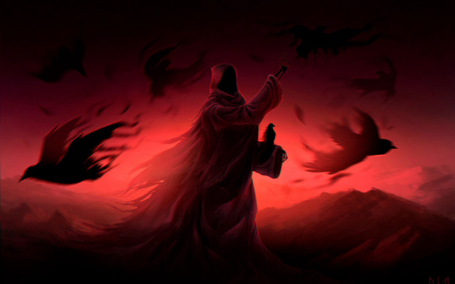 Person bird holding bird flying free wallpaper for desktop - medium preview image