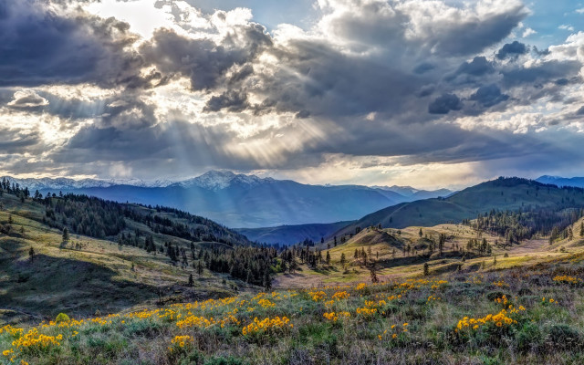 Mountains clouds sunrays yellowflowers nature free wallpaper for desktop - medium preview image