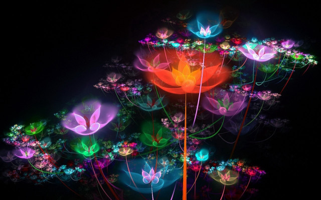 Glowing flowers mystical butterflies fairy free wallpaper for desktop - medium preview image
