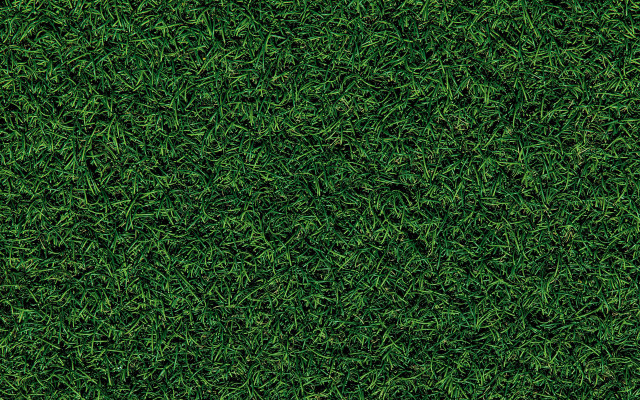 Grass texture closeup forest nature free wallpaper for desktop - medium preview image