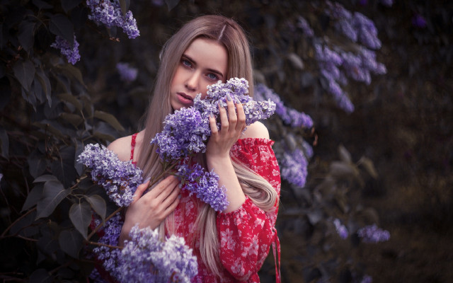 Woman red dress purple hydrangea free wallpaper for desktop - medium preview image