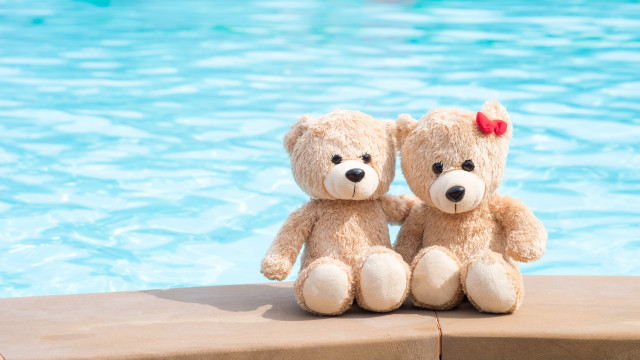 Teddy bears pool beach summer free wallpaper for desktop - medium preview image