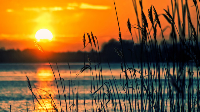 Sunset water tallgrass orange sky #2 free wallpaper for desktop - medium preview image