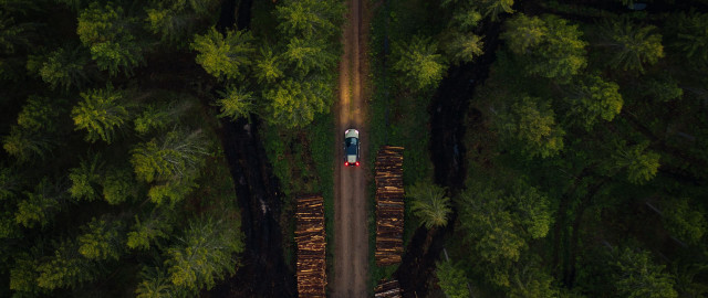 Forest road redcar nature outdoors free wallpaper for desktop - medium preview image