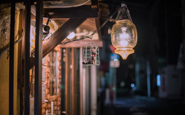 Streetlight birdcage nighttime tiltshift atmospheric free wallpaper for desktop - medium preview image