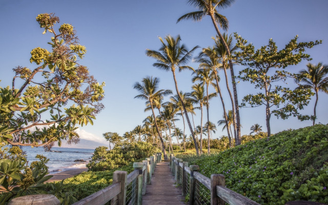 Wooden walkway beach palm trees #2 free wallpaper for desktop - medium preview image