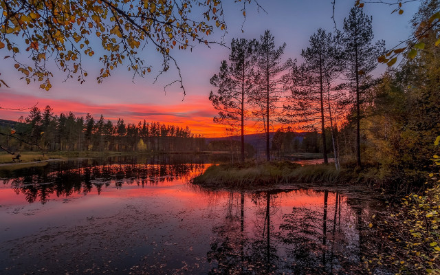 Lake trees sunset mystical autumn free wallpaper for desktop - medium preview image