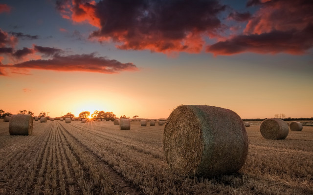 Hay bales sunset clouds art free wallpaper for desktop - medium preview image