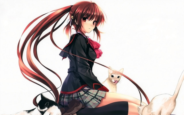 Long haired girl cat leash free wallpaper for desktop - medium preview image