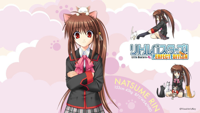 Anime character long hair cat #3 free wallpaper for desktop - medium preview image