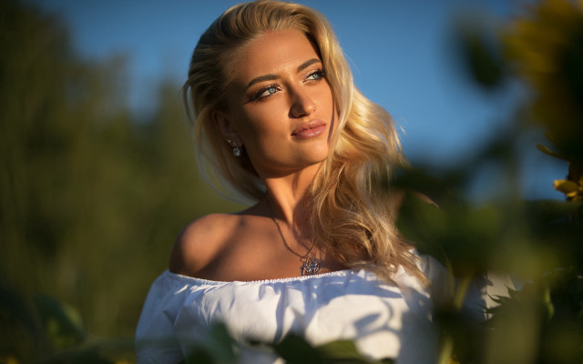 Blonde woman sunflower field portrait free wallpaper for desktop - medium preview image