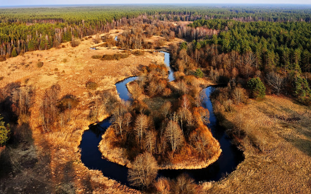 River forest grass sky puzzle free wallpaper for desktop - medium preview image