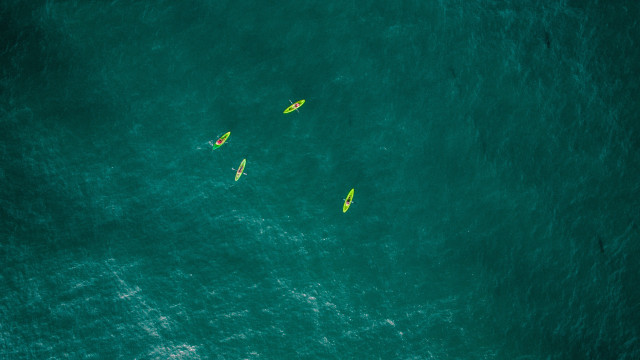 Surfboards people ocean fluorescent microscopic free wallpaper for desktop - medium preview image
