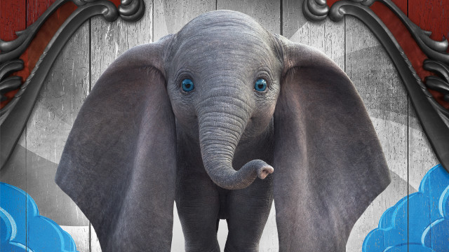 Elephant blue eyes wooden background free wallpaper for desktop - medium preview image