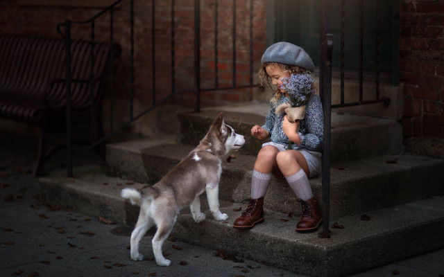 Little girl steps dog cat free wallpaper for desktop - medium preview image