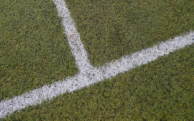 Green grass white line tilt free wallpaper for desktop - medium preview image