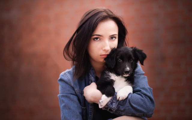 Woman holding puppy brickwall portrait free wallpaper for desktop - medium preview image