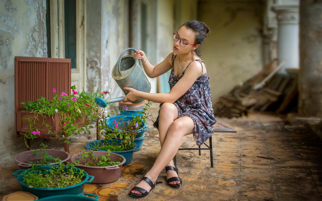 Woman sitting plant watering can free wallpaper for desktop - medium preview image