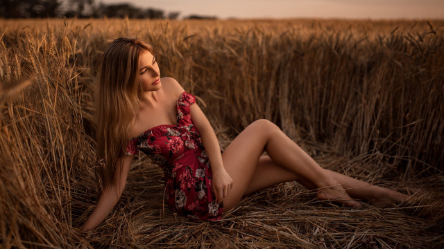 Woman red dress wheat field free wallpaper for desktop - medium preview image