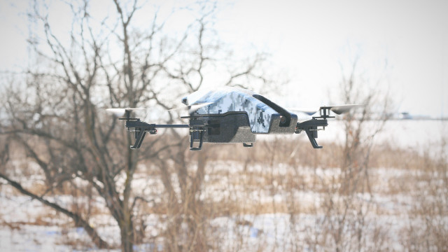 Black white quad tree snow free wallpaper for desktop - medium preview image